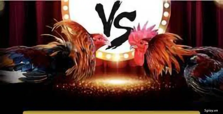 Hướng Dẫn Chơi Đá Gà WS168 Tại W88 Chi Tiết Cho Người Mới