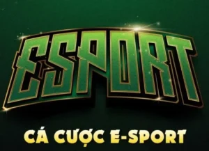 Hướng Dẫn Chơi Thể Thao Điện Tử Tại W88 Chi Tiết Nhất 2025